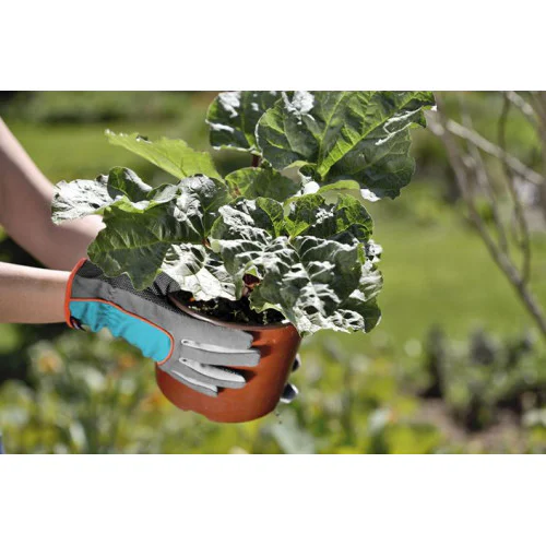 Ръкавица за засаждане и поддръжка - размер 8/М  GARDENA 