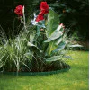 Лента за трева (Зелена) GARDENA 00536-20 Лента за трева (Зелена) GARDENA 00536-20