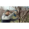 Акумулаторна ножица Bosch Pro Pruner - 2x3.0 Ah, GAL 12V-20 06019K1021 Акумулаторна ножица Bosch Pro Pruner - 2x3.0 Ah, GAL 12V-20 06019K1021