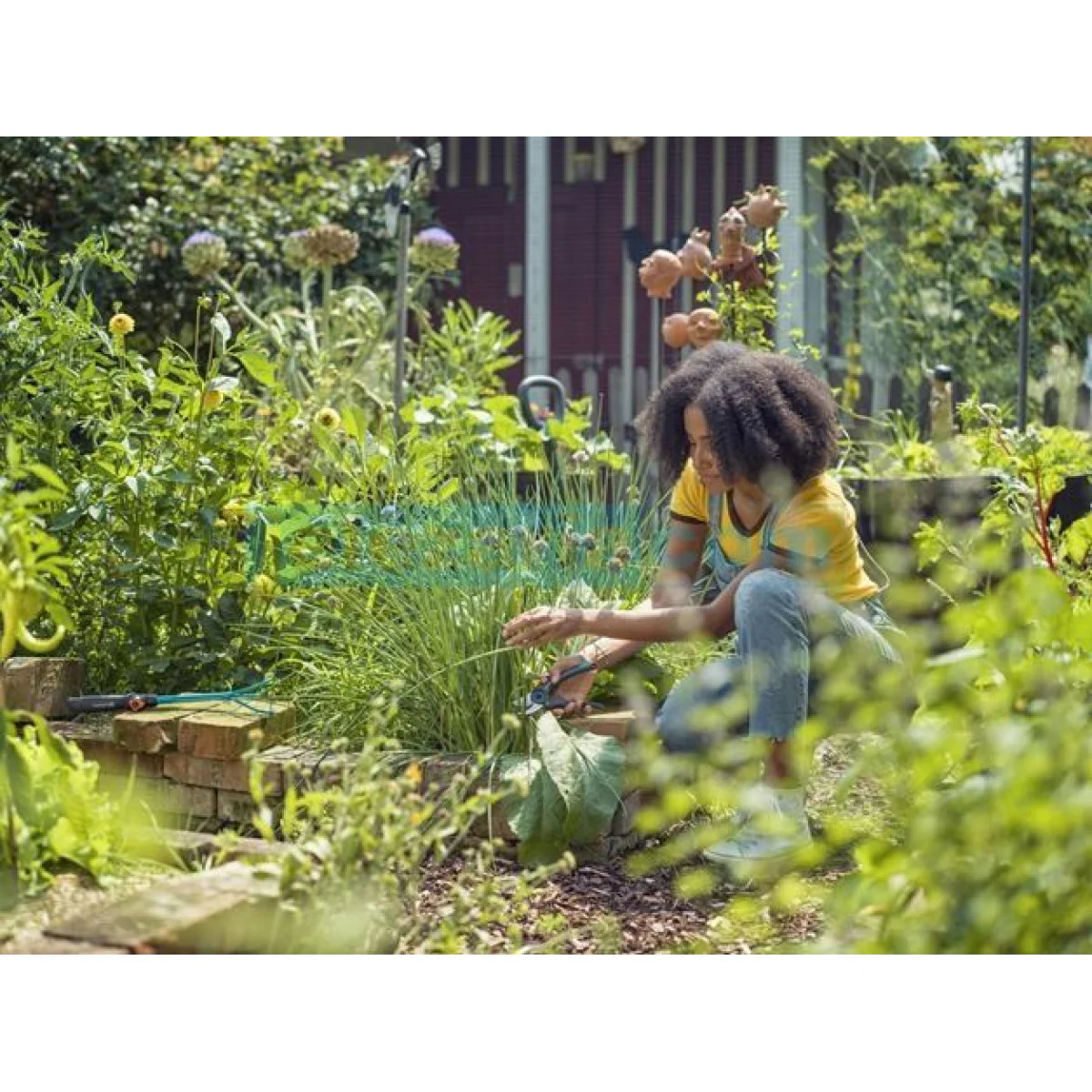 Овощарска ножица GARDENA ExpertCut 12203-20