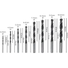 Комплект свредла за дърво Robust Line 3 - 10 mm, 8 части, Bosch 2607010533