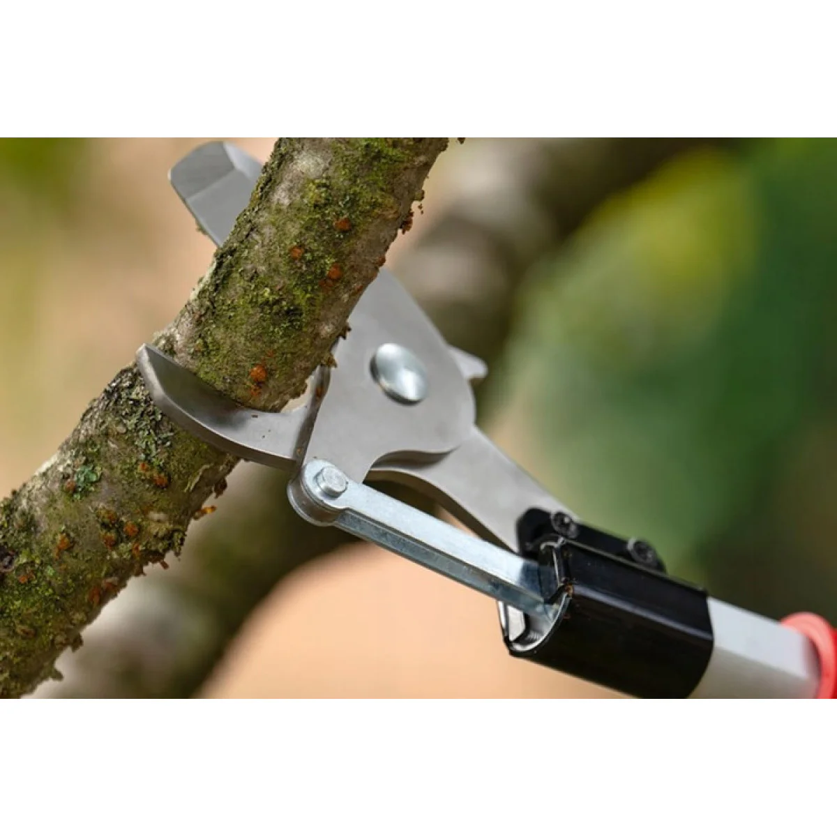 Акумулаторна телескопична ножица за клони Bosch Advanced Prune 18V - 45, 45 мм, без батерия 06008C5002 Акумулаторна телескопична ножица за клони Bosch Advanced Prune 18V - 45, 45 мм, без батерия 06008C5002