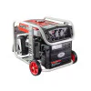 Инверторен бензинов генератор за ток Raider RD-GG13, 4.5 kW, 9 л, AVR и ел. стартер, 
